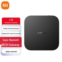 Xiaomi Smart Central Gateway