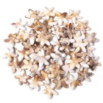 50pcs Ocean Series Acrylic Beads Beige Brown Seastar Seaturtle Conch Loose Beads For Jewelry Making Bracelet Necklace Keychain