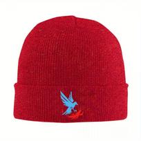 InFAMOUS Second Son Champion Logo Classic Warm Knitted Cap Fashion Bonnet Hat Autumn Winter Outdoor Beanies Hats for Unisex