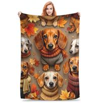 Flannel Throw Blanket Pumpkin Spice Dachshund Nice Warm Plush Blankets Soft Bedspread for Bed Living room Home Travel Sofa Size: 75*100cm, Weight: 230 GSM