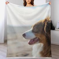 Australian Shepherd At The Beach Throw Blanket Luxurious Soft Blanket Holiday Gift for Family Size: 75*100cm, Weight: 230 GSM
