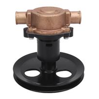 Raw Sea Water Pump Brass Metal Alloy 1 Inch Inlet Outlet RA057007 Replacement for Sherwood G20 G21 302 351