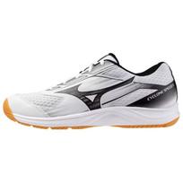 Mizuno Cyclone Speed 5 Unisex Volleyball Shoes White Black V1GA258055 36