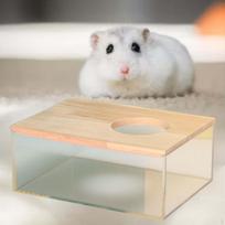 Akrilinė smėlio vonios dėžutė žiurkėnams ir mažiems gyvūnėliams Rectangle S