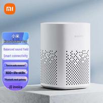 Xiaomi Xiaoai Smart Speaker Play CN plug (adapter included)