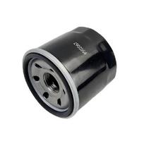 P502067 Oil Filter Compatible with Kubota D722 D902 WG750 WG752 WG972 Engine, LF3925 B1400