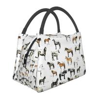 Horse Breeds Pattern Lunch Bags Insulated Bento Box Leakproof Lunch Tote Picnic Bags Cooler Thermal Bag for Woman Student Office 28x17x16CM