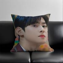New Cha Eun Woo Pillow Case Skin-Friendly And Comfortable Fabric Pillowcase Lnvisible Lilky Zipper 12x12Inch
