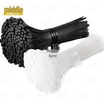 Self-locking Nylon Cable Ties