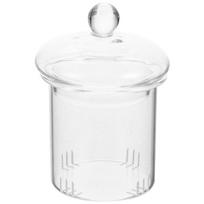 Loose Leaf Tea Strainer Replacement Infuser for Teapot Leak Infusers Transparent Travel 10X7.5X7.5CM skaidri