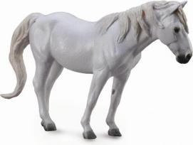 Pilkas Camergue arklys - Collecta