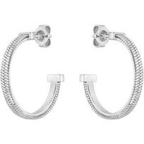 Hugo Boss BOSS Jewelry 1580482. Auskarai, spalva: rutulys. Moteriški.