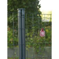 Pilkas virintas tinklas PANTANET FAMILY, 50,8x101,6 mm, 2,5x1220 mm