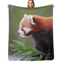 Little panda Throw Blanket Versatile Cozy Throw Blanket for All Occasions Size: 75*100cm, Weight: 230 GSM