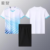 B12 short-sleeved table tennis feather volleyball jersey set for men and women S-6XL S/150
