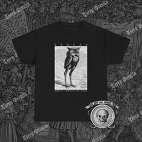 Stolas Shirt, Ars Goetia, Prince of Hell, Dictionnaire Infernal S