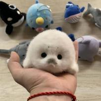 Cute Plush Baby Seal Pendant Handmade Simulation Ocean Animal Cartoon Doll Keychain Creative Gift Toy 10cm
