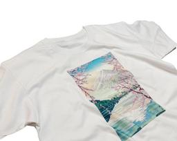Hokusai Mount Fuji T-Shirt: Japanese Art Graphic Tee XL