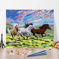 Pasidaryk pats tapyba pagal skaičius, rankų darbo skaičiai, aliejinė tapyba, skaitmeninė aliejinė tapyba, tapyba ant drobės pagal skaičius 40x50cm no frame