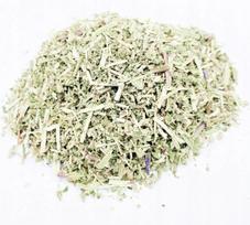 Catnip Herb 500 G 100% Natural