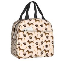 Sausage Dog Lovers Insulated Lunch Bag for Camping Travel Dachshund Waterproof Cooler Thermal Bento Box Women Children One Size black