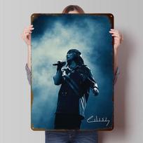 Billie Eilish Tinplate Posters Customizable Wall Art Retro Vintage Metal Signs for Home Room Garage Decoration Gaming Wand Deko 20X30CM