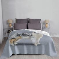 The Merle Rough Collie Blanket For Sofa Bed Travel Lassie Rough Collie Collies Dog Dogs Breed Breeds Kc Kennel Size: 75*100cm, Weight: 230 GSM