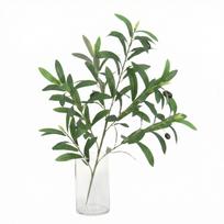 Simulated Olive Leaves With Fruit Tree Branches And Leaves, Flower Arrangement, Living Room  Decoration, Plants, Artificial Flowers, Green Plants 1pc One Size žalia