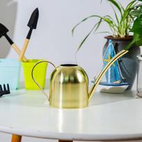 Watering Can for Indoor Plants Orchid Bonsai Stainless Steel Small Watering Can auksas