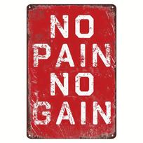Funny Gym Inspirational Quotes Decor Metal Tin Signs No Pain No Gain Sign Wall Decor For Home Office Living Room Gym Workout 20X30CM