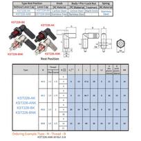 1pc 180° Position Type Lock Pin M10M12M16M20 Lever type Indexing Plungers L-handle Spring Screw with Pin AK-M10-1-4