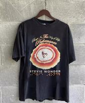 Stevie Wonder Song In The Key Of Life T Shirt Full Size S-5XL SS151 S