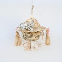Bird Chewing Toy,Parrot Cage Bite Tearing Wooden Hanging Parrot Toy,Pecking for Budgies,Conures