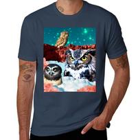 Kindly Owl Gods Of The Red Mesa Tshirt Retro Style Print Casual Top S