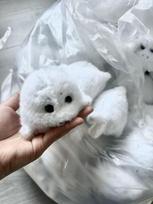 Cute Plush Baby Seal Keychain Simulation Ocean Animal Pendant Soft Stuffed Toy Doll Decoration Bead chain style