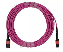 Skaidulinis optinis kabelis MPO BlueOptics CBL-MPO12-OM4-5M-BO 5 m OM4 50 µm