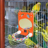 Bird Mirror with Rope Perch Parrot Cage Toy Exercise Gnawing Toy, Play Accessories for
