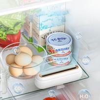 Fridge Deodorizer Rechargeable Reusable Odor Remover For Refrigerator Shoe Cabinet Pet Room Smell Eliminator Air Purifier United States