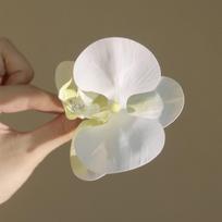 Bohemia Barrettes Butterfly Orchid Hair Clip Ponytail Clip Large Shark Clip  Female Style 6