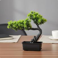 Dirbtinė spygliuočių bonsai medelis Mažai priežiūros Reikia laistyti Dirbtinis tamsiai žalia spalva