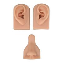 Silicone Piercing Practice Model Simulation Soft Flexible Nose Ears Model for Display Teaching