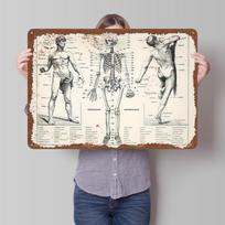 Human Body and Skeleton Printed Poster Customized Wall Art Retro Vintage Metal Tin Signs for Room Modern Home Decoration Luxury 20X30CM