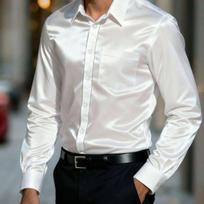 Men S Long Sleeve Elastic Business Wrinkle Free Solid Dress Shirt S balta