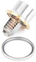 Originalus BMW E36 E46 E85 E86 Z3 variklio aušinimo termostatas OEM 11531318274