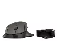 Hewlett Packard (HP) HP pelė - HP Tilt Ergonomic Mouse 725M
