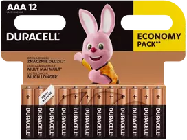 Duracell AAA / LR03 šarminės baterijos, 12 vnt.