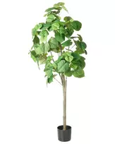 Dirbtinis augalas FICUS TREE 160 cm žalias