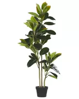 Dirbtinis augalas FICUS ELASTICA 134 cm žalias
