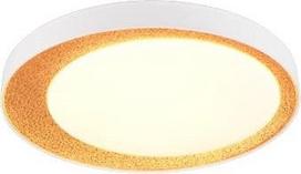Reality Šviestuvas plafonas Reality,LED, 24W,2700-6500K, 2500lm, Ø45