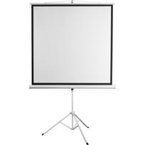 Sbox Projektoriaus ekranas PSMT-135-2, 240x240cm, nusileidžiamas, baltas, 255cm, 16:9, 4:3, 1:1, audinys, plienas, stovas